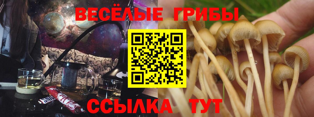 Галлюциногенные грибы GOLDEN TEACHER Чусовой
